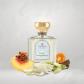 THE GATE PARIS Ivory Temptation Extrait 100 ml